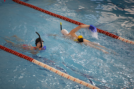 Diti运动员学会在游泳池游泳小鸡教育乐趣运动人群训练反射娱乐儿童泳池图片