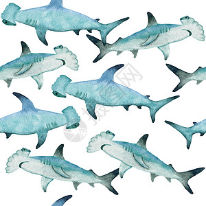 手绘水彩无缝图案与锤头鲨 海海洋海洋动物 航海水下濒危哺乳动物物种 用于织物托儿所装饰的蓝灰色插图 海底印花图片
