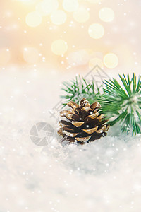 雪松果圣诞装饰品 雪中的松果 有选择的焦点蓝色假期季节庆典装饰新年木头卡片横幅云杉背景