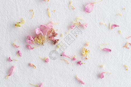 花粉花在白色背景上的花朵模式 Flowers 风格纹理墙纸庆典问候语粉色圆形花瓣树叶花卉植物框架图片