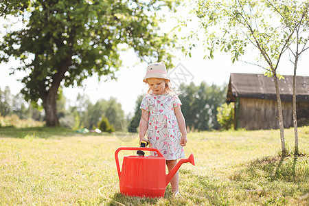 一个 34 岁的小可爱女婴穿着裙子在花园里用喷壶给植物浇水 孩子们在阳光明媚的日子里享受园艺的乐趣 户外活动儿童晴天幼苗童年女儿图片