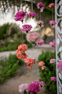 婚礼拱门上白玫瑰和粉红玫瑰花的风景庆典仪式花束餐巾环境盘子玻璃花瓣银器服务图片