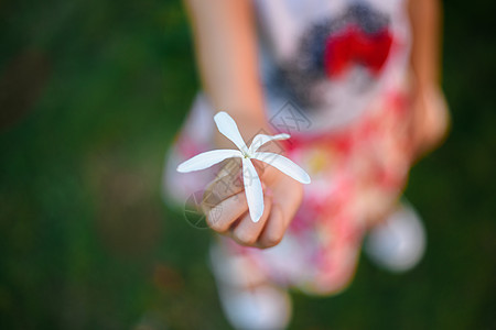 孩子手里握着一朵白花图片