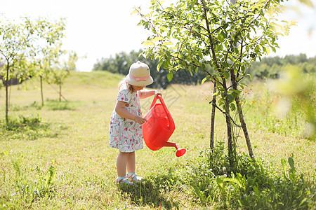 一个 34 岁的小可爱女婴穿着裙子在花园里用喷壶给植物浇水 孩子们在阳光明媚的日子里享受园艺的乐趣 户外活动儿童国家花园工作童年图片