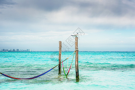 在加勒比海 墨西哥 Hammocks挂在柱子上海岸晴天风景可可吊床蓝色海滩天堂旅行别墅图片