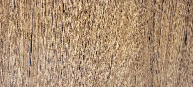 带光质和深色血管的生木背景硬木木头木板框架控制板桌子风化木材粮食地面图片