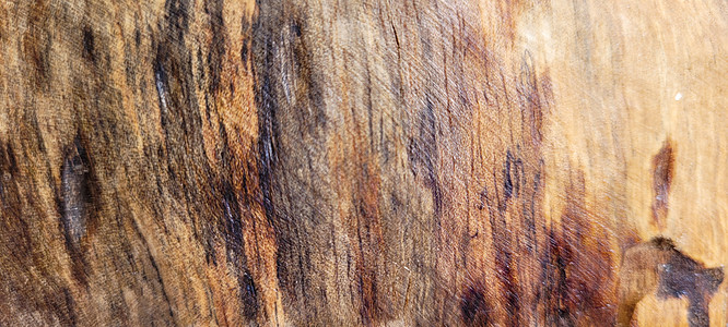 带光质和深色血管的生木背景木板风霜桌子木材硬木木头地面谷仓材料森林图片