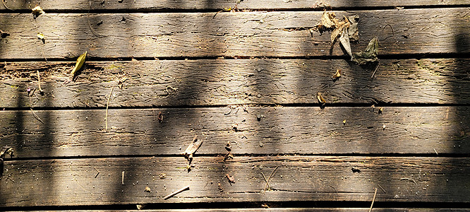 带光质和深色血管的生木背景粮食谷仓木板地面硬木木头栅栏风霜桌子木材图片