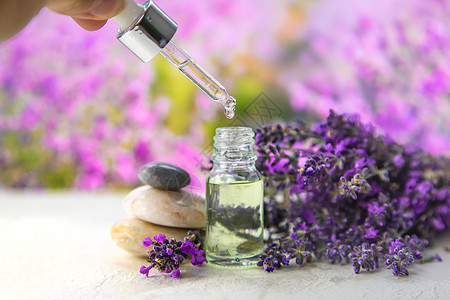 含熏衣草提取的必需油 有选择的重点芳香疗法乡村横幅按摩植物身体花朵桌子香气图片