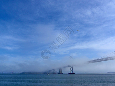 乘船在旧金山湾大桥上航行 白天雾雾笼罩着标志性桥图片