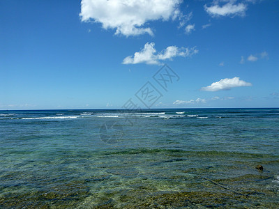 浅洋水域 珊瑚和小波浪相隔而散的距离图片