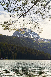 黑湖 自然景观 山湖 Zabljak 黑山 Durmitor国家公园游泳风景顶峰树木旅行天堂假期岩石远足森林图片