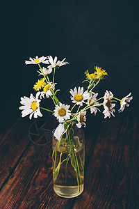 野生甘菊花的小型花束野花装饰桌子植物瓶子甘菊雏菊草地雏菊花玻璃图片