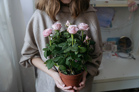 一名年轻女子拿着花盆和粉红玫瑰灌木的中期计划花瓣念日快乐花店问候语气氛礼物花束场合女孩图片