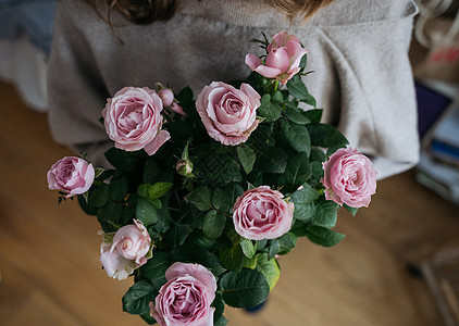 一位年轻女子高视 她拿着花盆和粉红玫瑰灌木庆典礼物玫瑰气氛问候语女性快乐女孩花束花店图片