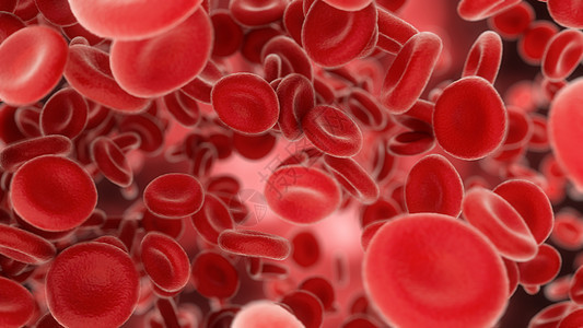 血液细胞通过动脉或静脉流出3度脂类形态学血流科学诊所粒子免疫学血液学显微镜生物图片