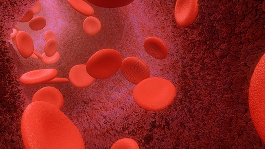 血液细胞通过动脉或静脉流出3度系统宏观药品白细胞循环血管免疫学感染科学实验室图片