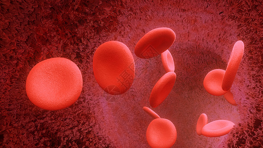 血液细胞通过动脉或静脉流出3度解剖学实验室诊所血流粒子身体血液学血管红细胞白细胞图片