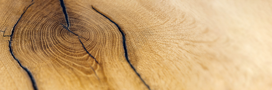 木制切木 旧橡树桩 木背景 作为背景的部位顶端视图 复制空间圆圈木材生活材料棕色树干戒指橡木宏观年度图片