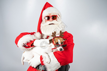 圣诞老人和圣塔的帮手 在白色背景的太阳镜上 杰克罗瑟尔穿着鹿装爪子季节魔法鹿角帽子新年宠物朋友假期动物图片