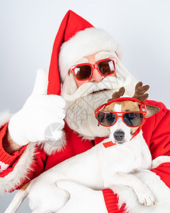 圣诞老人和圣塔的帮手 在白色背景的太阳镜上 杰克罗瑟尔穿着鹿装鼻子感情传统假期胡须动物魔法毛皮伙伴庆典图片