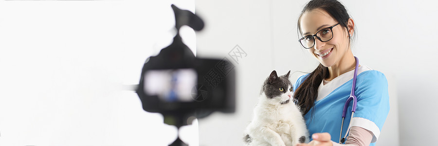女医生在摄像机上展示可爱的小猫咪 抚摸他录像生物动物办公室视频冒充宠物爪子猫咪居住检查图片