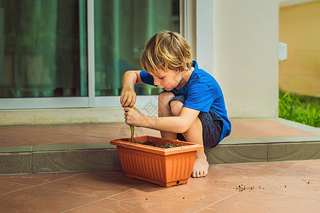小可爱男孩在花园的花盆里种种子图片