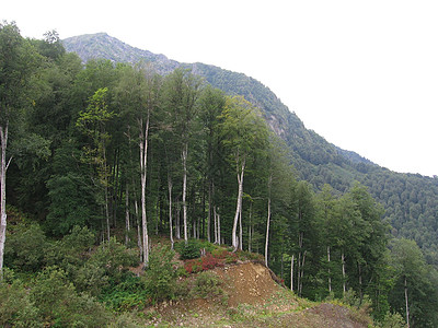 一片全景的山地景观 其山谷和森林山峰在高覆云天下风景旅游房子爬坡道顶峰木头假期地平线远足场景图片