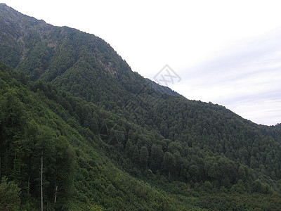 一片全景的山地景观 其山谷和森林山峰在高覆云天下农村假期蓝色荒野远足木头山脉岩石冒险旅游图片