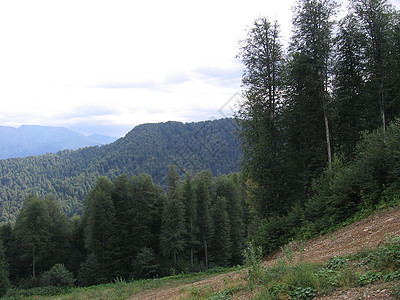 一片全景的山地景观 其山谷和森林山峰在高覆云天下荒野场景风景农村远足场地石头冒险山脉蓝色图片