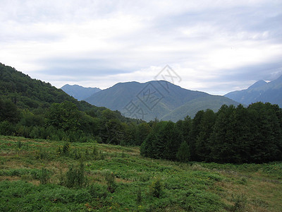 一片全景的山地景观 其山谷和森林山峰在高覆云天下地平线风景农村木头假期爬坡道山脉场地蓝色旅行图片