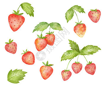 一套水彩色的可爱草莓和绿叶子 在白色上隔离的夏季白莓花朵的典型绘画图解图片