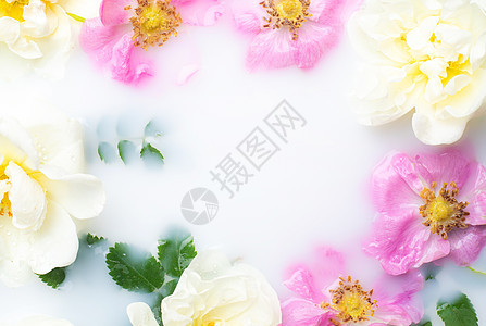 牛奶中的布什玫瑰 牛奶中的花朵 水疗护理 浪漫的 浪漫的环境 鲜花 复制空间房间浴室奢华卫生温泉浴缸花瓣身体植物皮肤图片