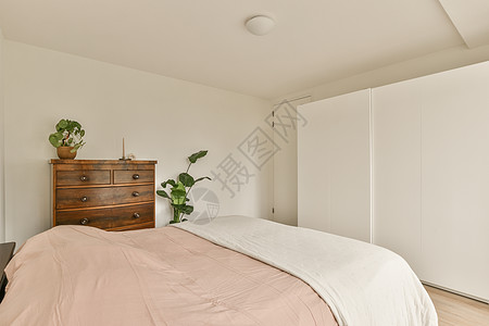 现代公寓中的轻光卧室壁橱植物群架子植物毯子房子家具镜子阳光照射装饰图片