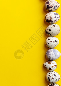 顶视图 黄色背景上的一排小斑点鹌鹑蛋 最小的复活节快乐作文 健康的生活方式饮食概念 复制天然鸡蛋烹饪广告假期传统作品宗教早餐卡片图片
