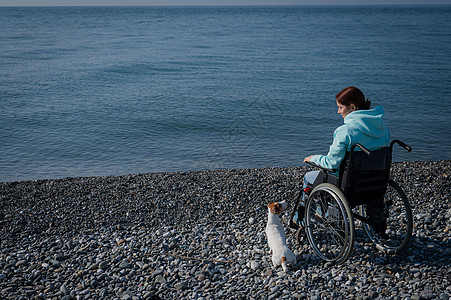 白种女人坐在轮椅上 跟一条狗在海边治疗卫生支撑闲暇朋友机动性气氛友谊椅子情感图片
