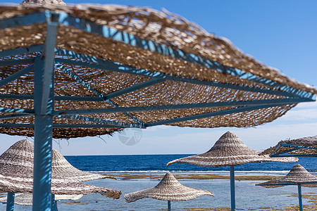 地中海海岸 沙沙滩上有防晒床和草面太阳雨伞遮阳伞海洋扶手椅蓝色阳伞海景椅子天篷景观旅游图片