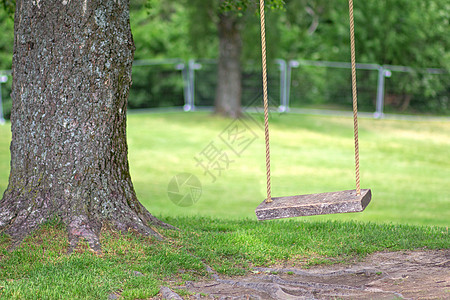 空绳子用木板摆在树上图片
