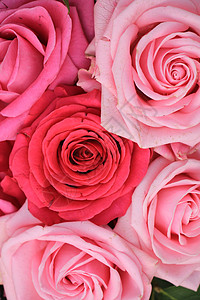 花朵婚礼安排中的大粉红玫瑰鲜花花瓣捧花树叶玫瑰团体花束新娘背景图片