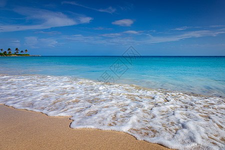 热带天堂 有棕榈树的加勒比海滨 牙买加蒙特哥湾海景海滩蓝色旅行风景海岸线旅游气候假期晴天图片