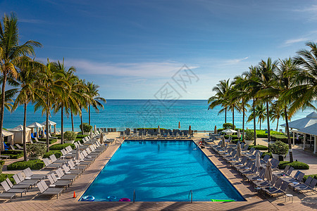 热带天堂 牙买加蒙特哥湾 有游泳池 观林和棕榈树的海滩图片