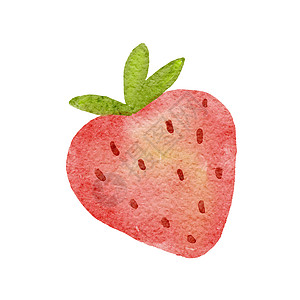浅色水彩 可爱的草莓和绿叶子 在白色上隔绝的夏季红莓的典型绘画插图市场艺术水果农业健康浆果甜点植物草图花园图片