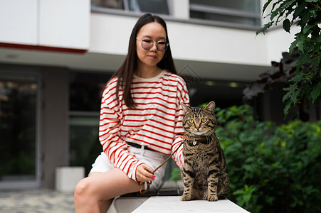 年轻女人和小猫坐在户外的长椅上叶子后院捕食者草地胡须虎斑猫科马具动物皮带图片