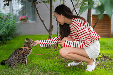 年轻女子在户外走着小猫咪流浪汉哺乳动物捕食者宠物后院冒险动物皮带叶子草地图片