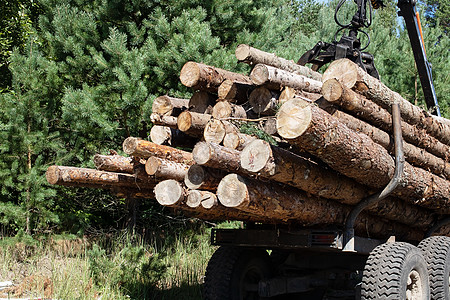 被砍伐的树木木头被折叠在拖拉机上日志森林生态树木胸罩驾驶木材身体建造收成背景
