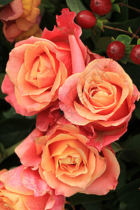大粉红玫瑰 花朵般的婚礼装饰捧花玫瑰花束鲜花粉色新娘花瓣插花背景图片