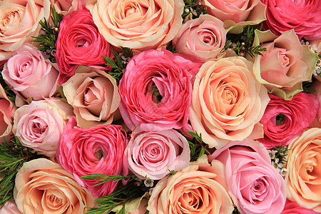 粉红玫瑰花束装饰品绿色橙子植物群团体粉色婚礼花朵桌子花瓣图片