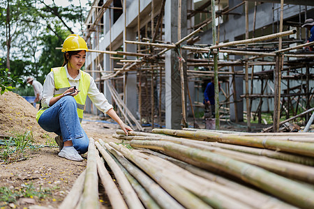 工程师在户外建筑工地使用竹子之前 正在检查竹子的质量图片