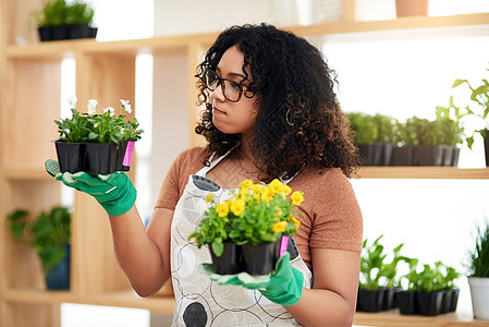 让我看看这里 一位迷人的年轻女性植物学家在她的花店工作时比较两组植物图片