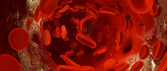 在血管中流传的红血细胞 3DRender图片